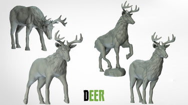 Deer